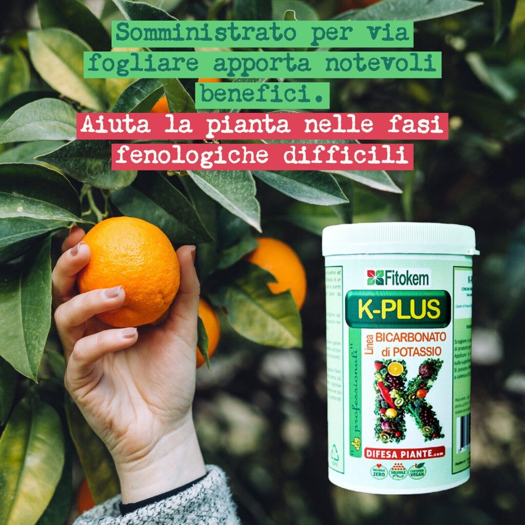 CONCIME MINERALE BICARBONATO DI POTASSIO BOLLA PESCO DA 1 KG FITOKEM