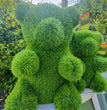 CESPUGLIO SEMPREVERDE A FORMA DI ORSO MISURA M 30X35 H 50 CM