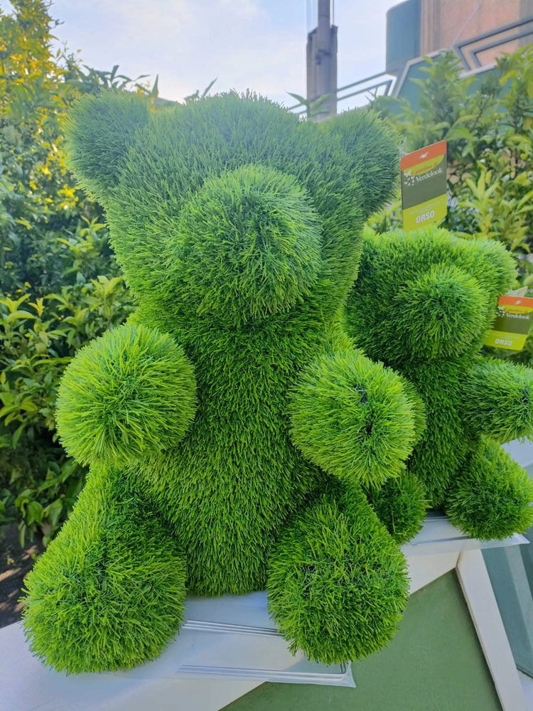 CESPUGLIO SEMPREVERDE A FORMA DI ORSO MISURA M 30X35 H 50 CM