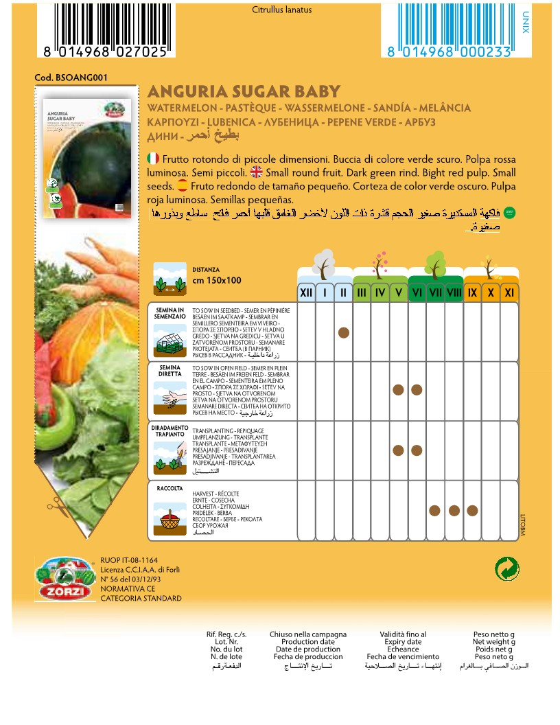 SEMI ANGURIA SUGAR BABY ZORZI