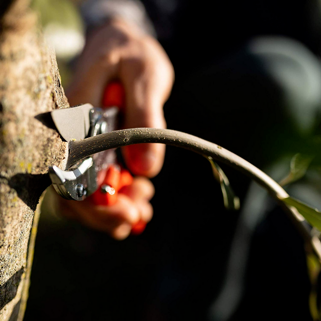 FORBICE AMBOSS CON LAMA E IMPUGNATURA CURVATA LUNGHEZZA 21CM STOCKER