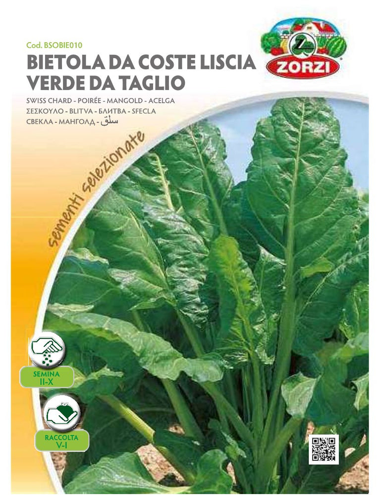 SEMI BIETOLA A COSTA LISCIA VERDE DA TAGLIO ZORZI