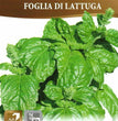 BASILICO FOGLIA DI LATTUGA