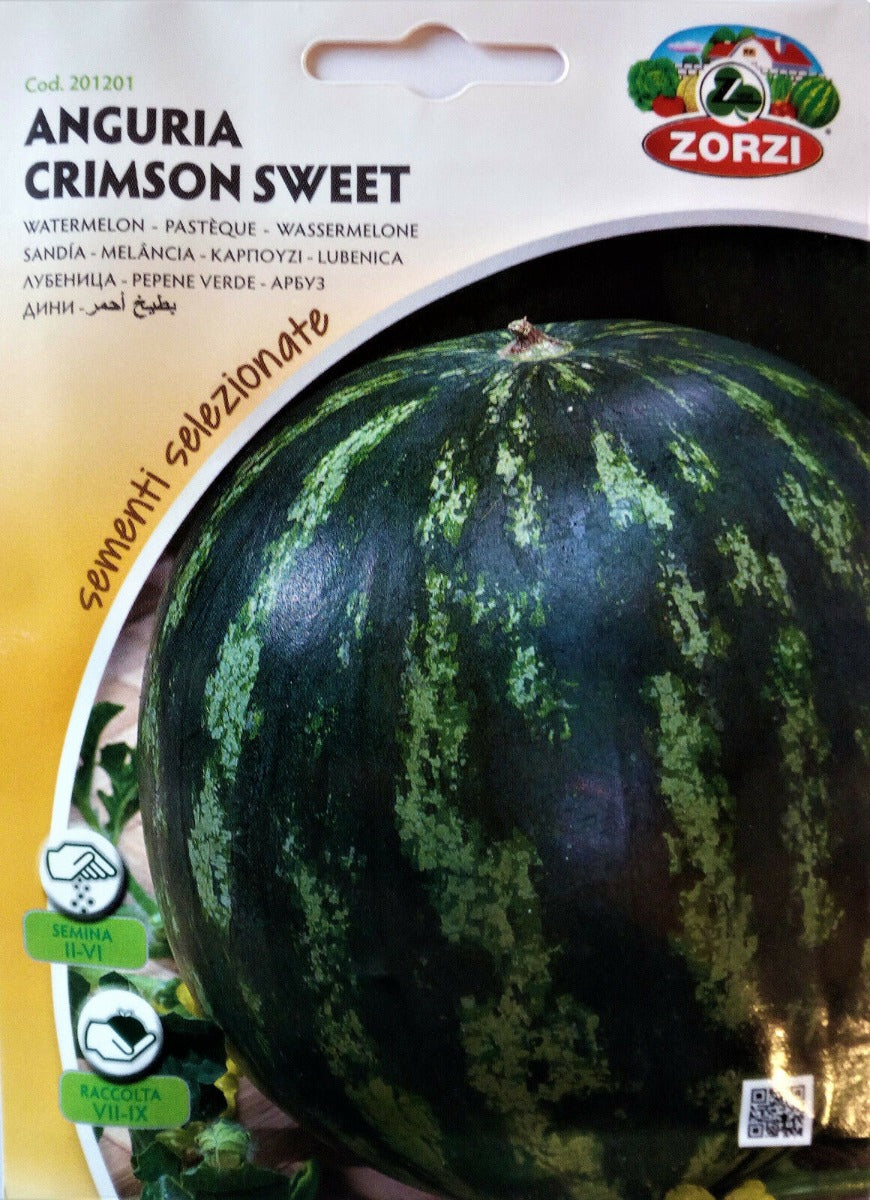 SEMI ANGURIA CRIMSON SWEET