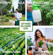OLIO DI NEEM DA 250 ML. FITOKEM
