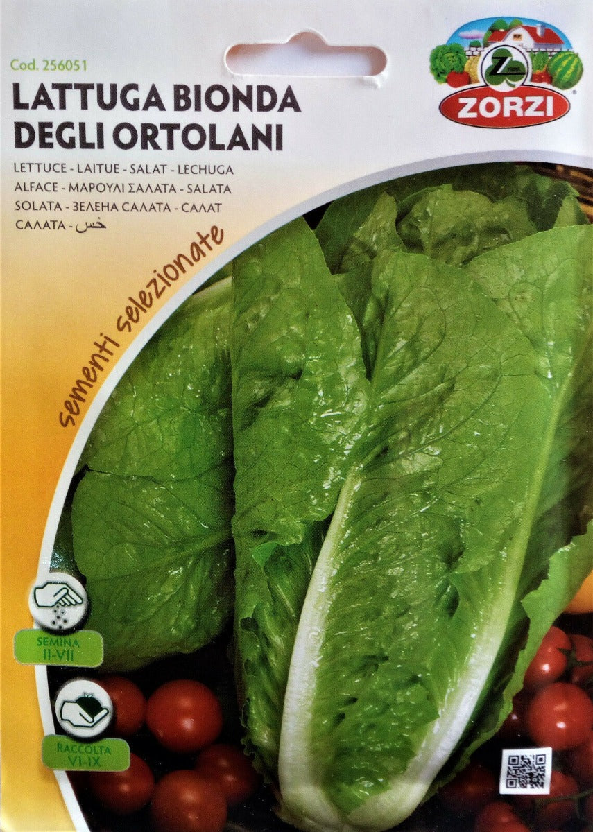 SEMI LATTUGA BIONDA DEGLI ORTOLANI ZORZI