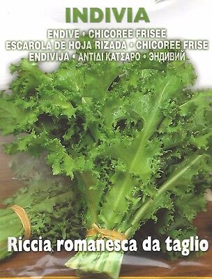 SEMI INDIVIA RICCIA ROMANESCA DA TAGLIO HORTUS