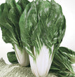 SEMI BIETOLA DA COSTE BARESE DA 500 GR