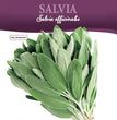 SALVIA