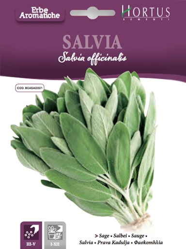 SALVIA