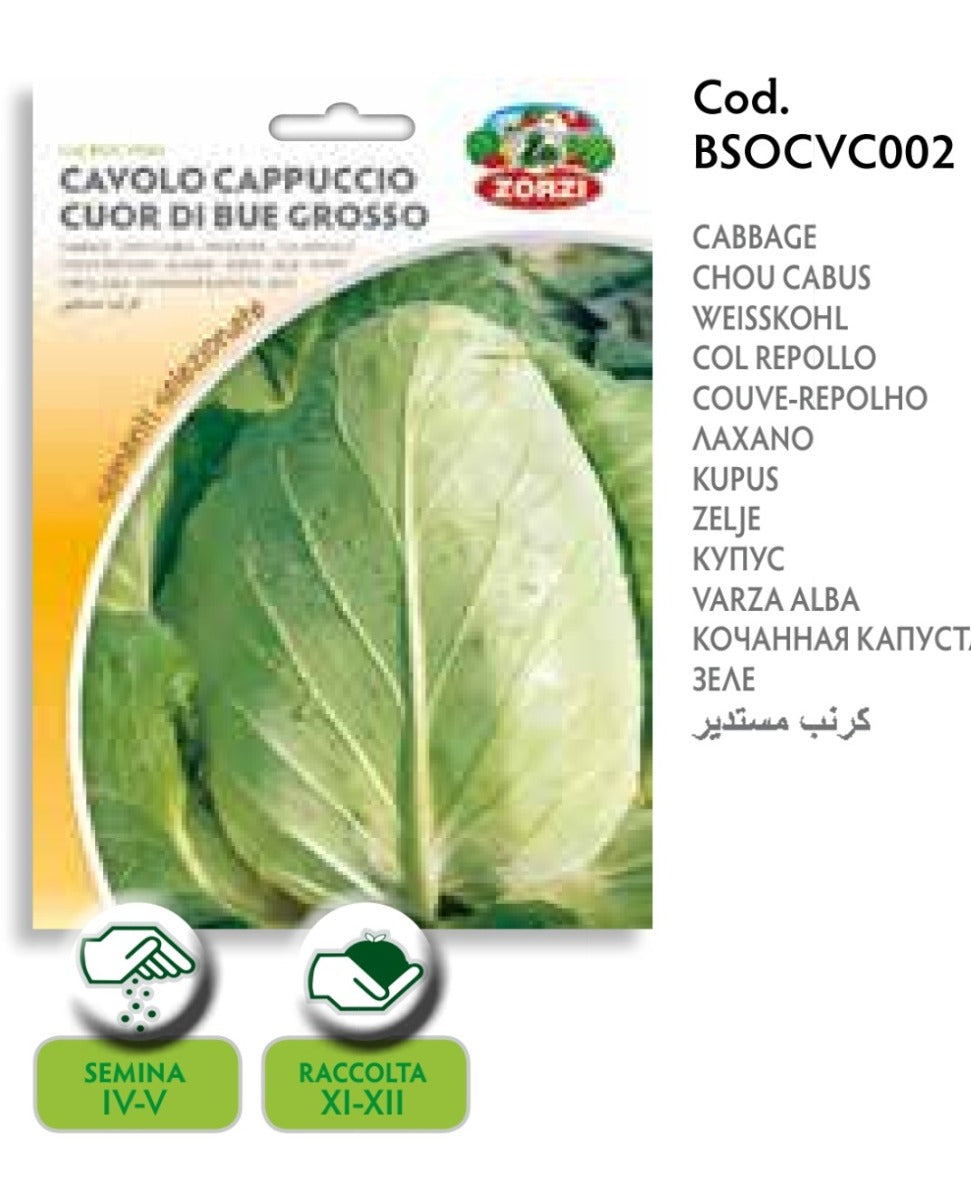SEMI CAVOLO CAPPUCCIO BIANCO CUOR DI BUE GROSSO ZORZI