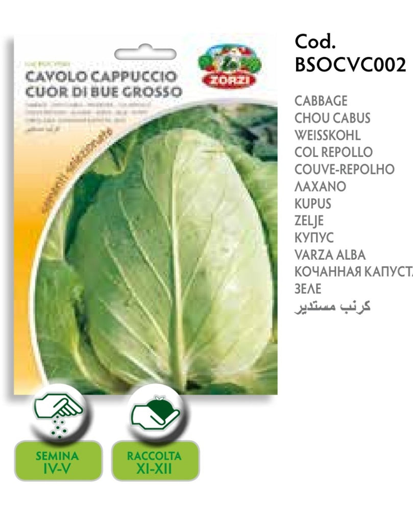 SEMI CAVOLO CAPPUCCIO BIANCO CUOR DI BUE GROSSO ZORZI
