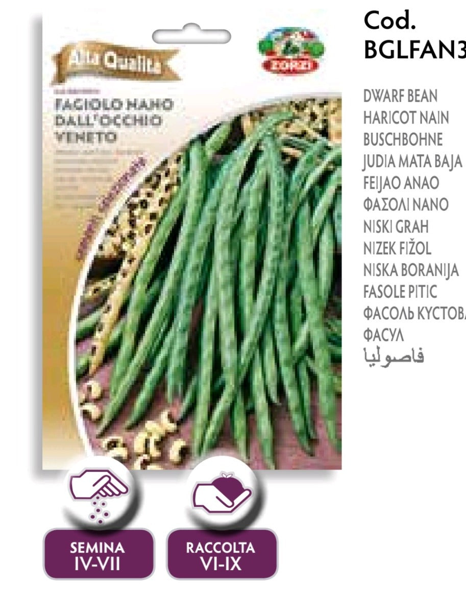 SEMI FAGIOLO NANNO DALL'OCCHIO VENETO GR.65