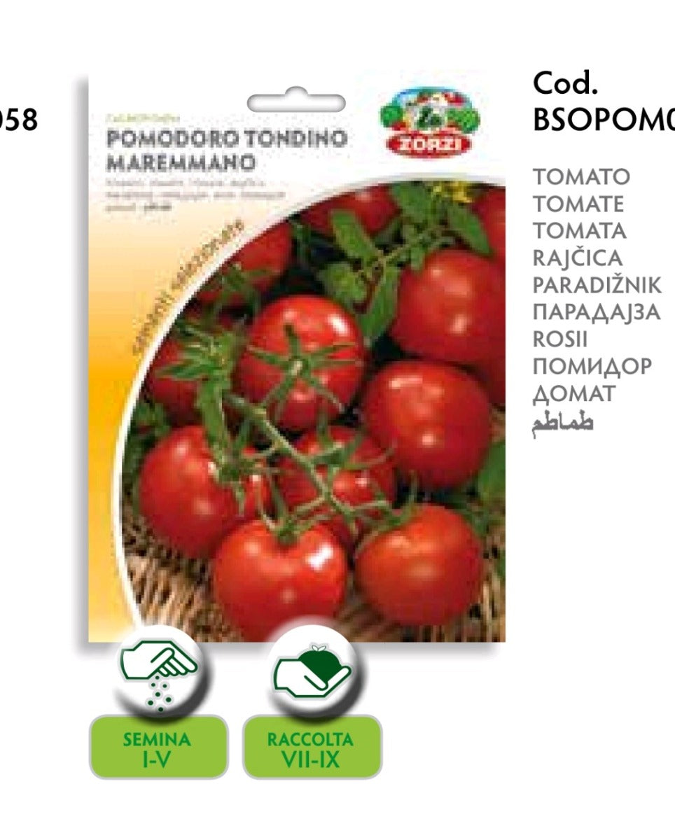 SEMI POMODORO TONDINO MAREMMANO ZORZI