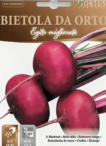 BIETOLA DA ORTO D'EGITTO MIGLIORATA DA 500 GR. HORTUS