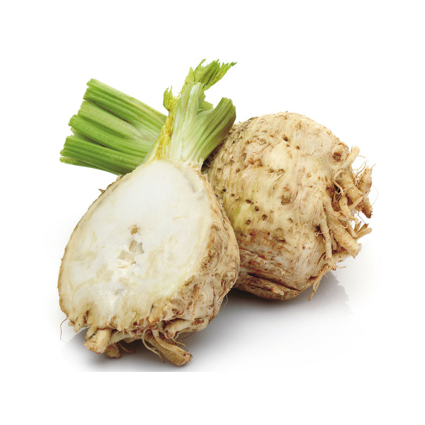 SEMI SEDANO RAPA GIGANTE DI PRAGA ZORZI