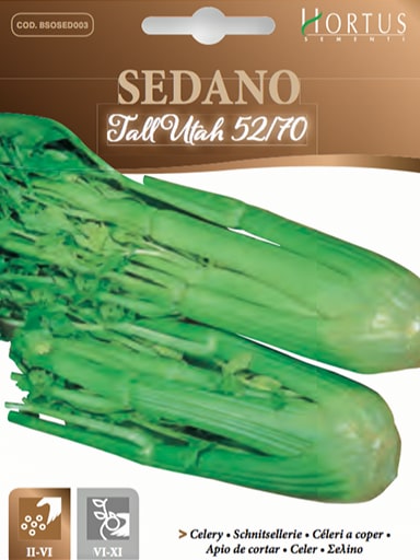 SEMI SEDANO TALL UTAH 52/70