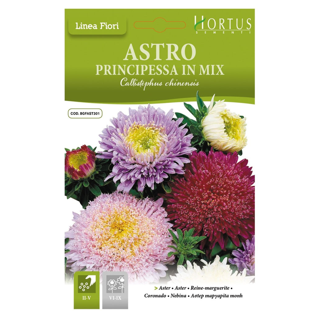 ASTRO PRICIPESSA IN MIX