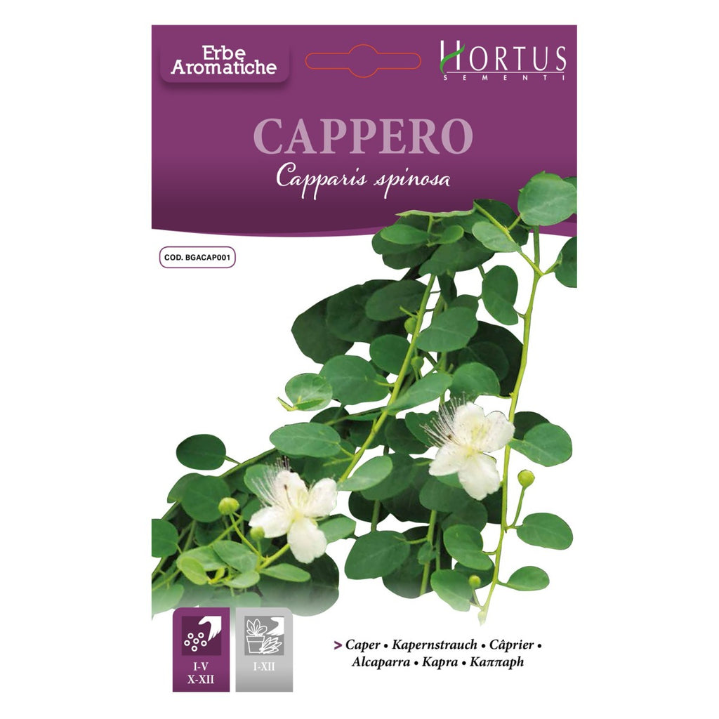 SEMI CAPPERO