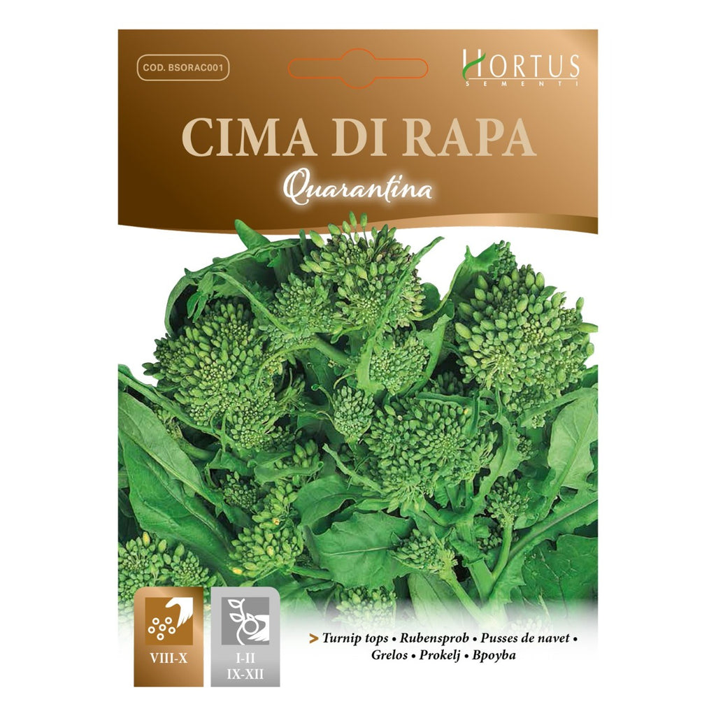 SEMI CIMA DI RAPA QUARANTINA HORTUS
