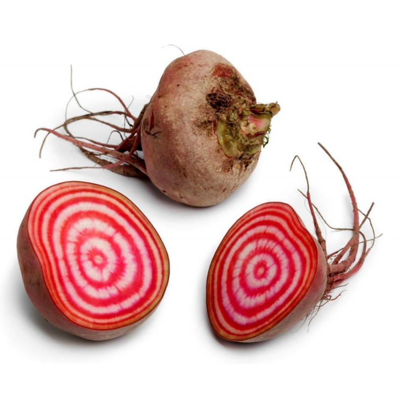 SEMI BIETOLA DA ORTO DI CHIOGGIA DA 500 GR.