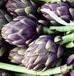 SEMI CARCIOFO VIOLECT DE PROVENCE HORTUS
