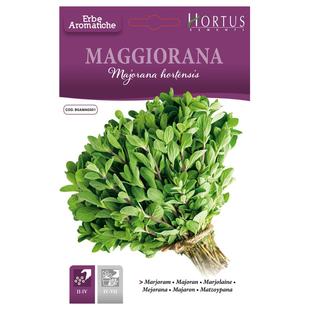 MAGGIORANA HORTUS