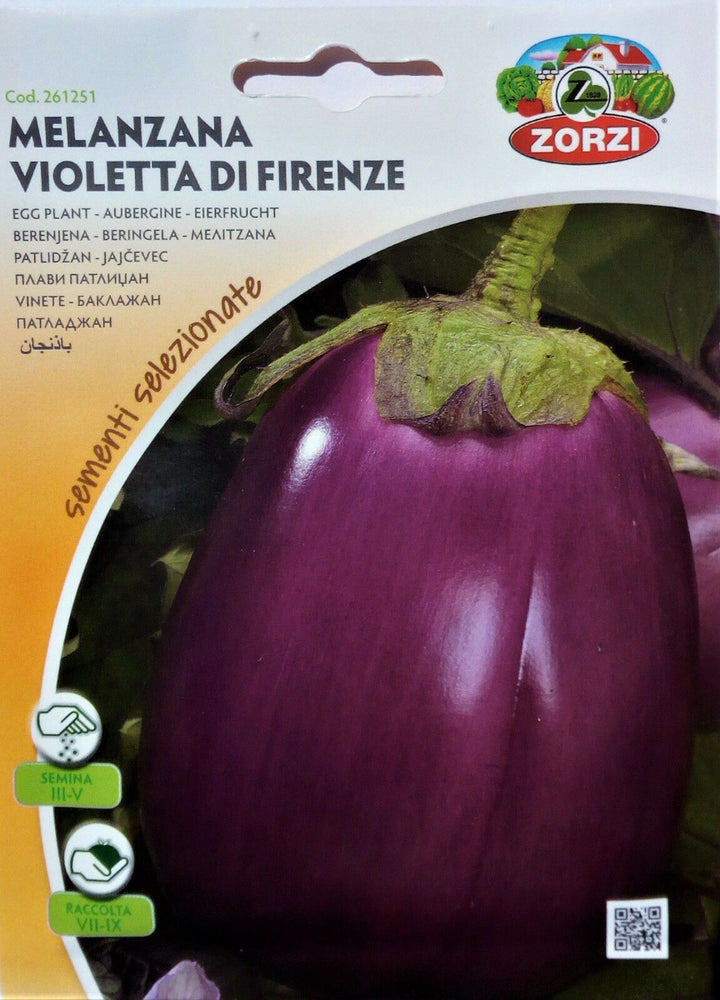 SEMI MELANZANA VIOLETTA DI FIRENZE ZORZI
