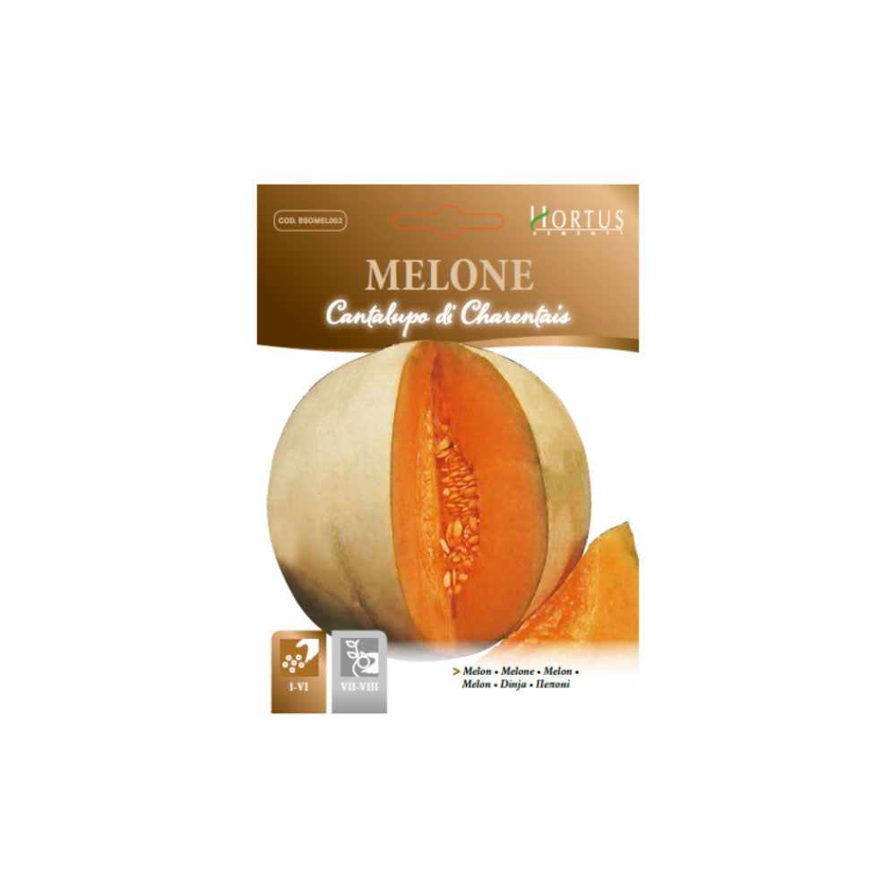 MELONE CANTALUPO DI CHARENTAIS