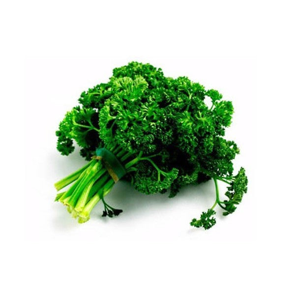 SEMI PREZZEMOLO NANO RICCIUTO 2 ZORZI