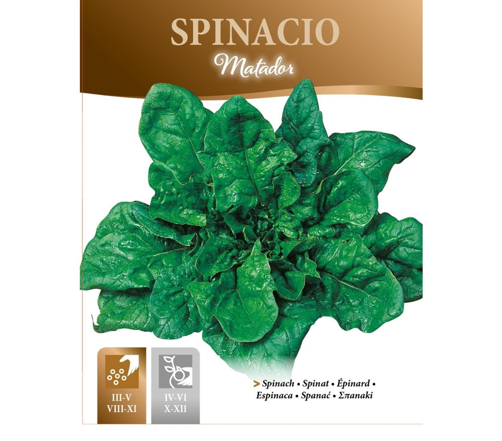 SEMI SPINACIO MATADOR GR.500 ZORZI