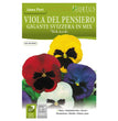 VIOLA DEL PENSIERO GIGANTE SVIZZERA IN MIX