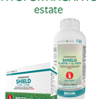 CONCIME MASTER GREEN FITOFORTIFICANTE SHIELD KG.0.25 BOTTOS