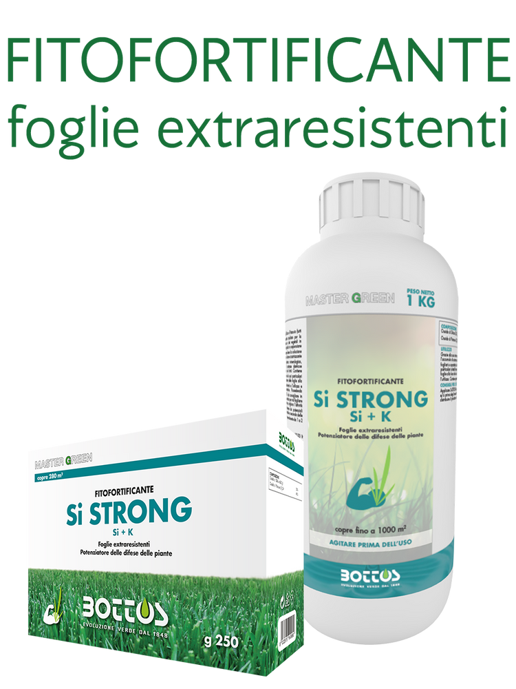 CONCIME MASTER GREEN FITOFORTIFICANTE SI STRONG 0.25 KG.BOTTOS