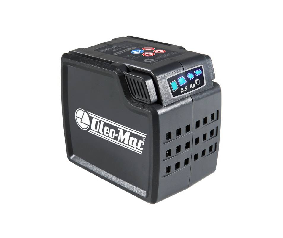 Soffiatore a batteria BVI 60 +1 batteria 5 ah+crg 40 V oleomac