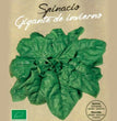 SPINACIO GIGANTE D' INVERNO