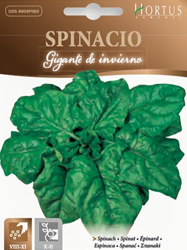 SPINACIO GIGANTE DE INVERNO