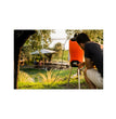 Geyser nebulizzatore Evo 25 l Li-ion Stocker