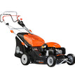 RASAERBA MAX 53 TK ALLUMINIUM PRO 196 CC OLEOMAC