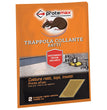 TRAPPOLE COLLANTE RATTI TOPI 19X28 CM 2 TRAPPOLE PROTEMAX