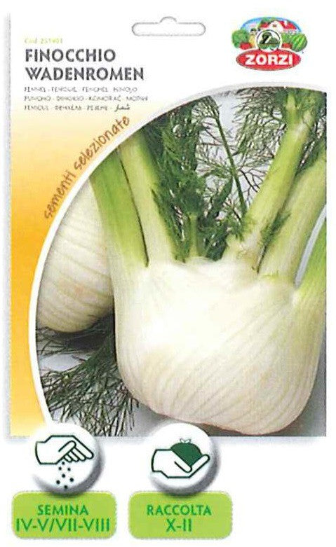 SEMI FINOCCHIO WADENROMEN ZORZI