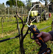 FORBICE A BATTERIA WORK WG330E NITRO
