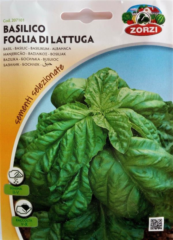 SEMI BASILICO FOGLIA DI LATTUGA ZORZI