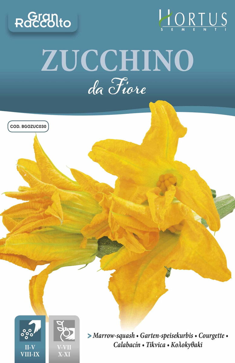 ZUCCHINO DA FIORE GRAN RACCOLTO HORTUS