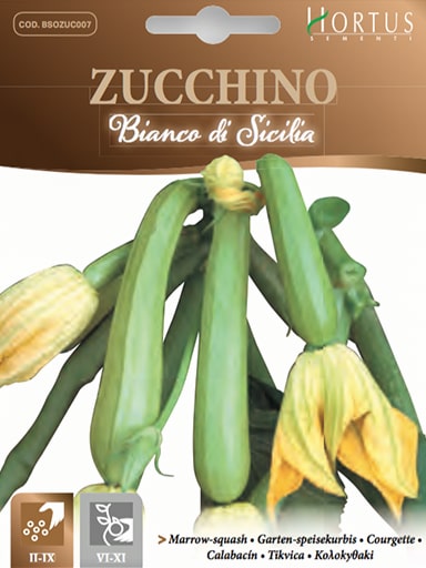 ZUCCHINO BIANCO DI SICILIA