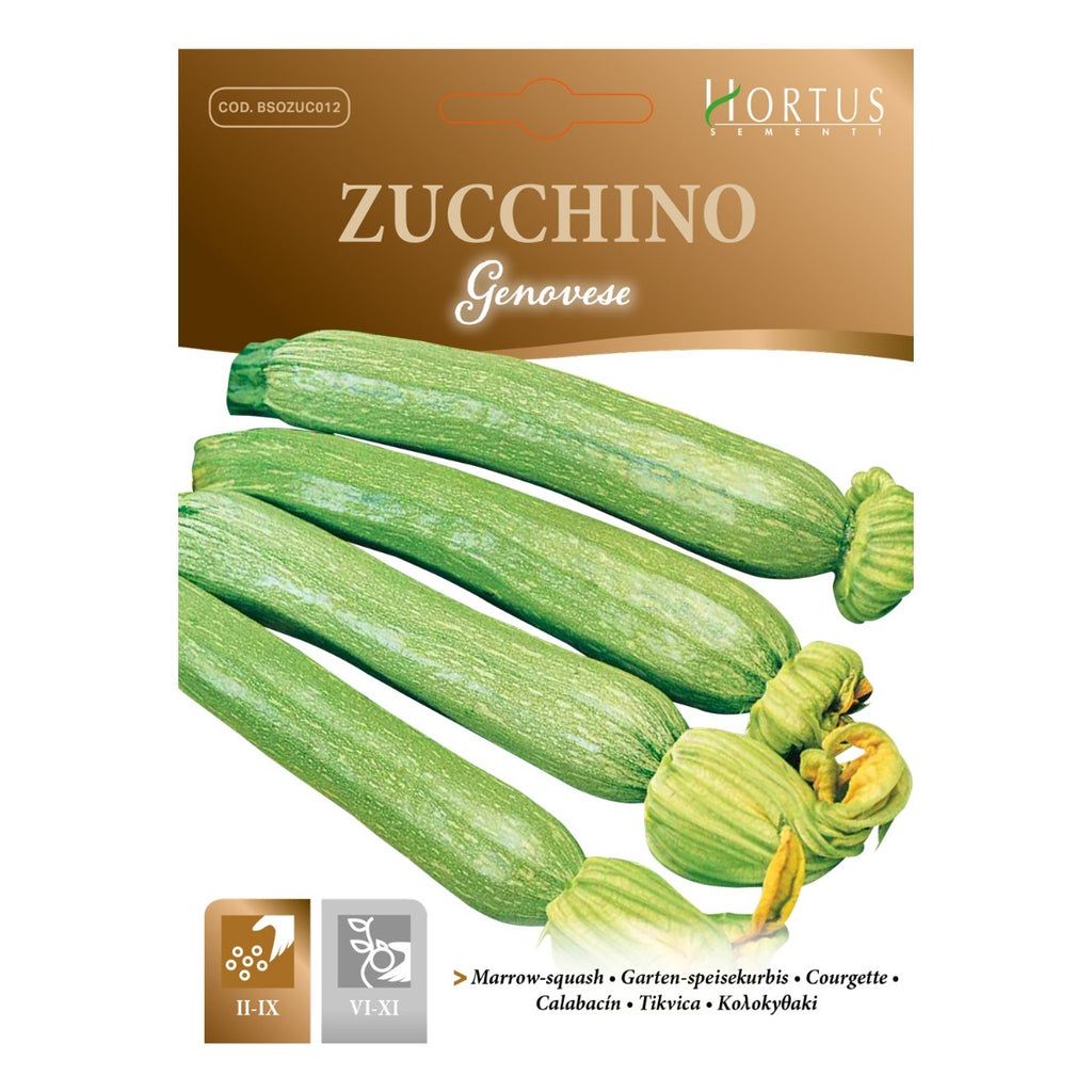 ZUCCHINO GENOVESE