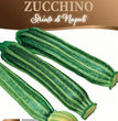 SEMI ZUCCHINO STRIATO DI NAPOLI