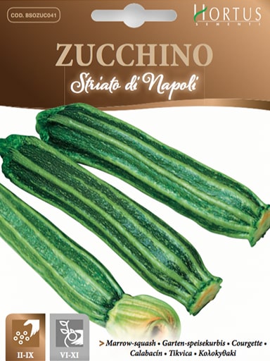SEMI ZUCCHINO STRIATO DI NAPOLI